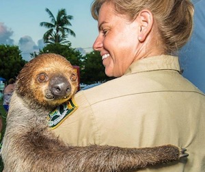 Mo the Sloth Florida Keys