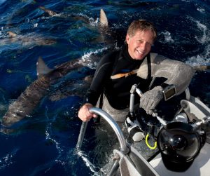 Stephen Frink ocean sharks