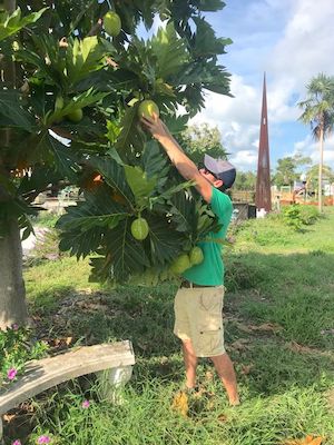 Patrick Garvey Grimal Grove Big Pine Key