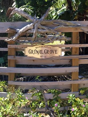 Grimal Grove Big Pine Key