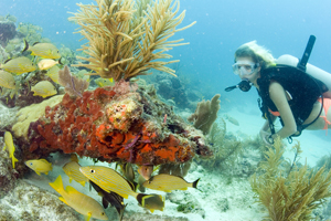 Diving the coral reef in the Florida Keys National Marine Sanctuary can be an amazing adventure for families to share. (Photo by Bob Care, Florida Keys News Bureau)