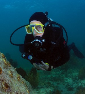 Diving in Florida Keys National Marine Sanctuary