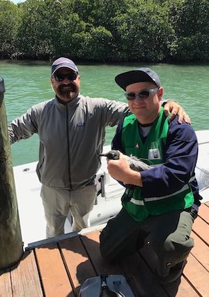 Two men rescuing laughing gull