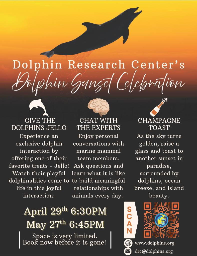 Silhouette of a dolphin against an orange sunset with event details below.