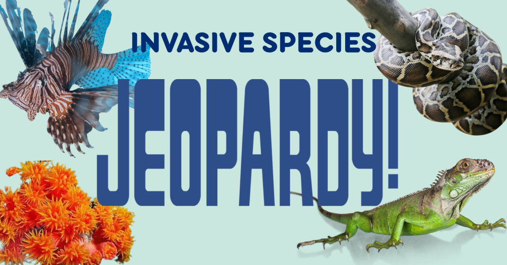 Ocean After Hours- Invasive Species Jeopardy