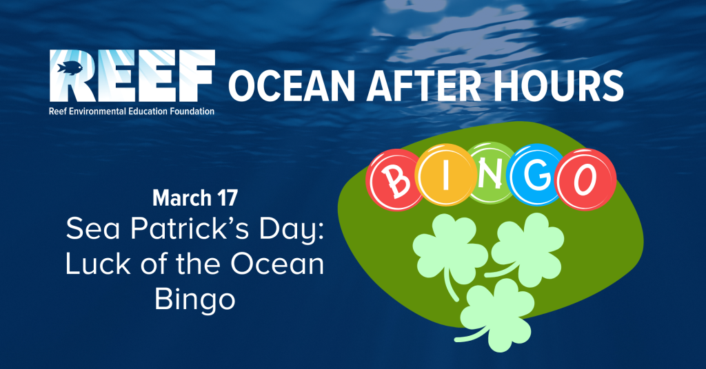 Ocean After Hours- Sea Patrick’s Day: Luck of the Ocean Bingo