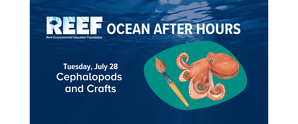 REEF Ocean After Hours: Cephalopods and Crafts