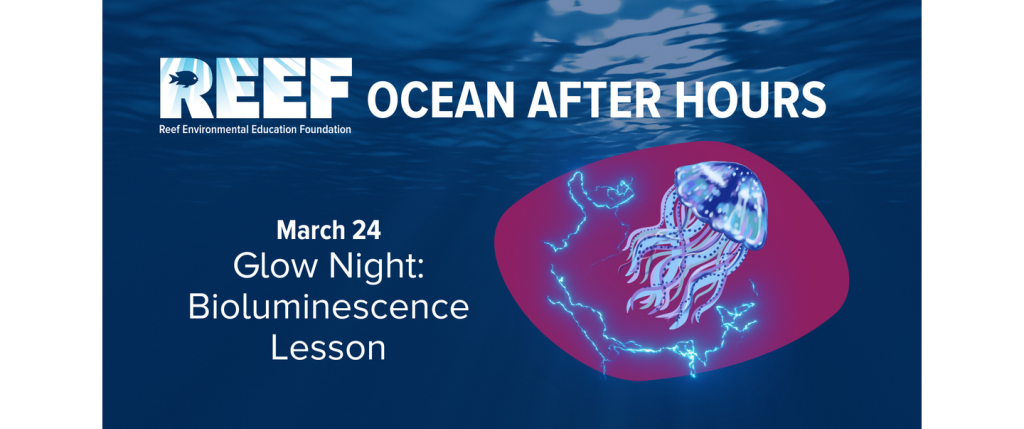 Ocean After Hours- Glow Night: Bioluminescence Lesson