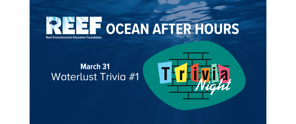 Ocean After Hours- Waterlust Trivia #1