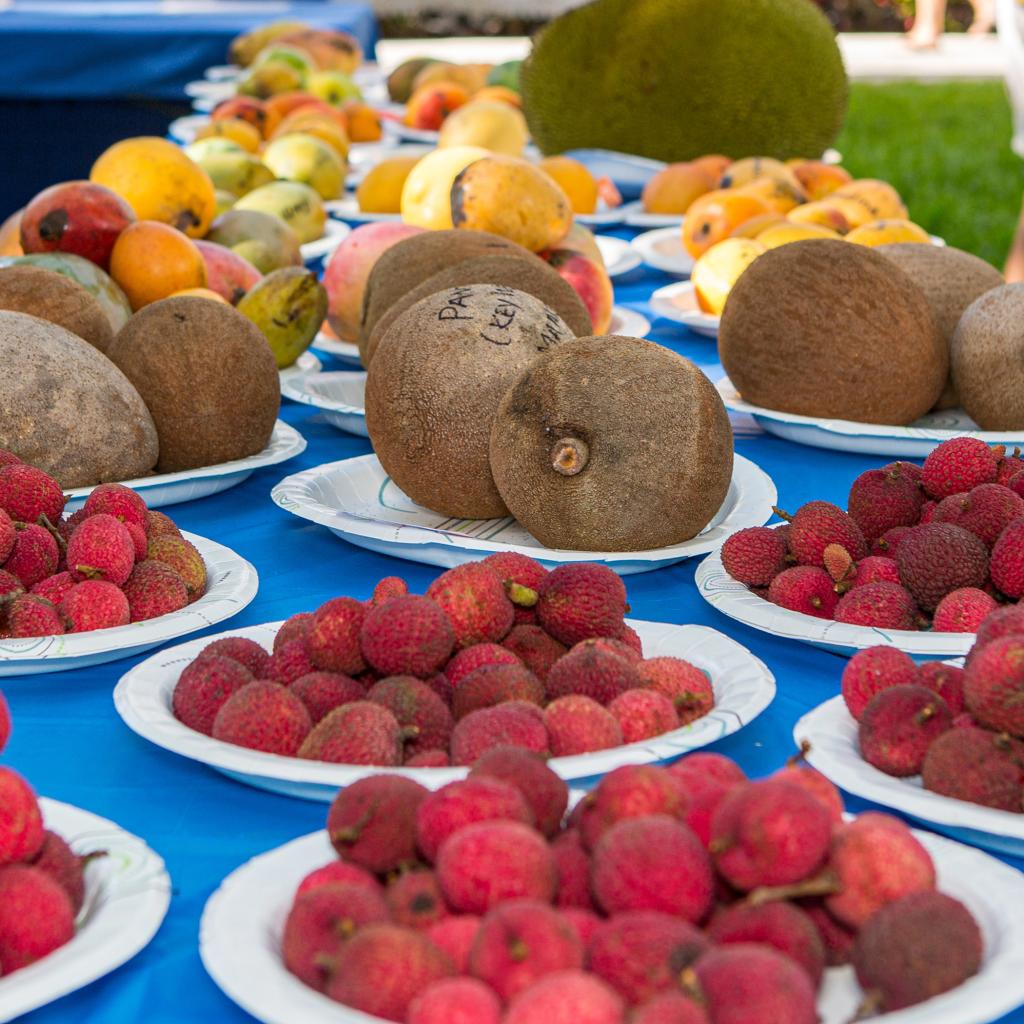 Truman’s Tropical Fruit Festival