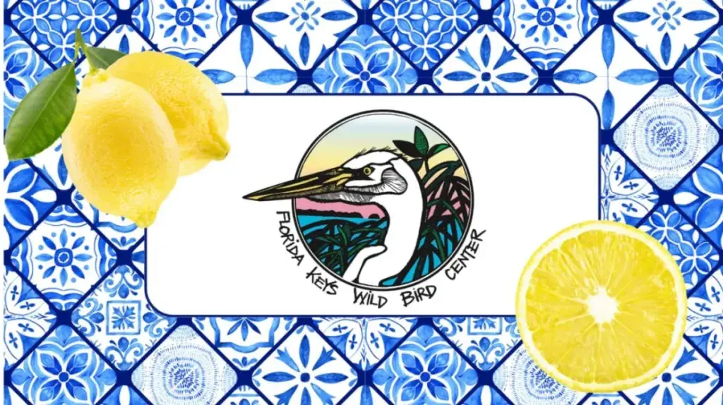 When Life Gives You Lemons, Eat Italian!