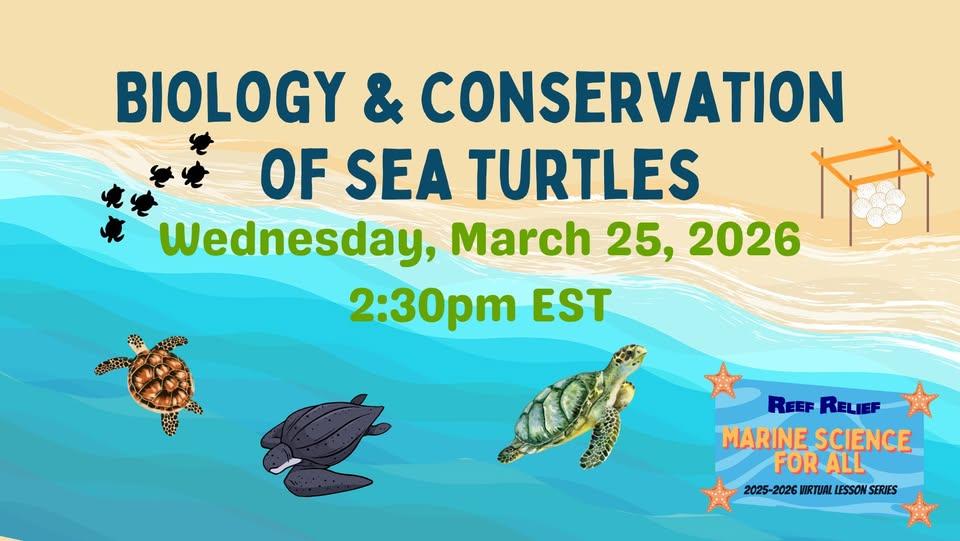 Virtual Lesson: Biology and Conservation of Sea Turtle 