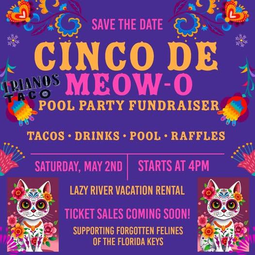 Cinco de Meow-o Pool Party Fundraiser 