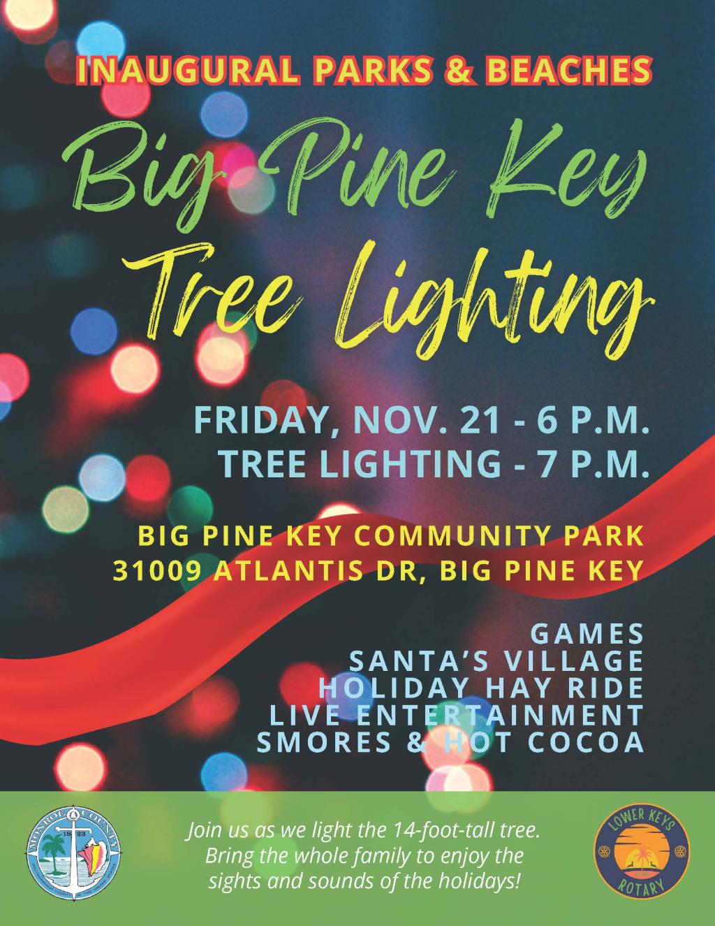 Big Pine Tree Lighting 