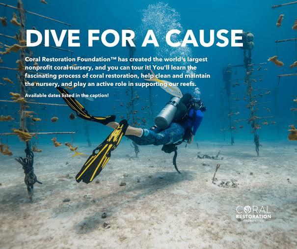 CRF Public Dive Program with Island Ventures