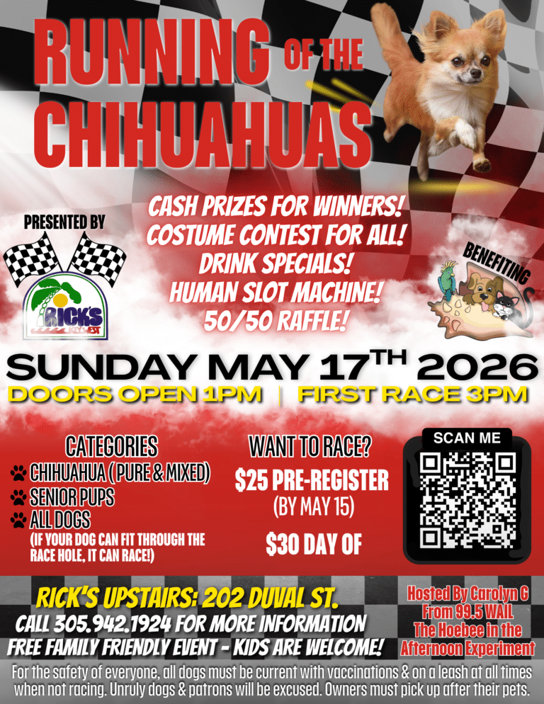 13th Annual Running of the Chihuahuas!