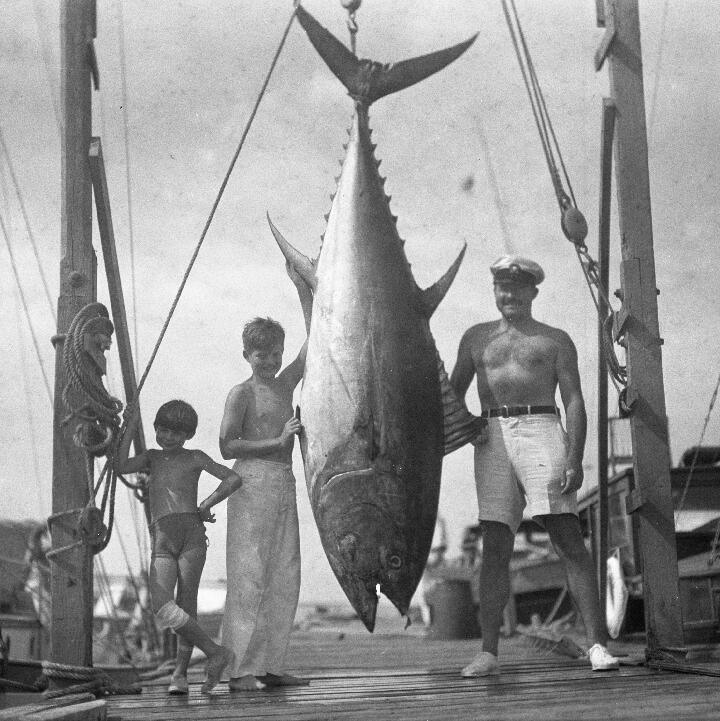 Happy Hour with the Historian: Following the Fish | Hemingway in Key West