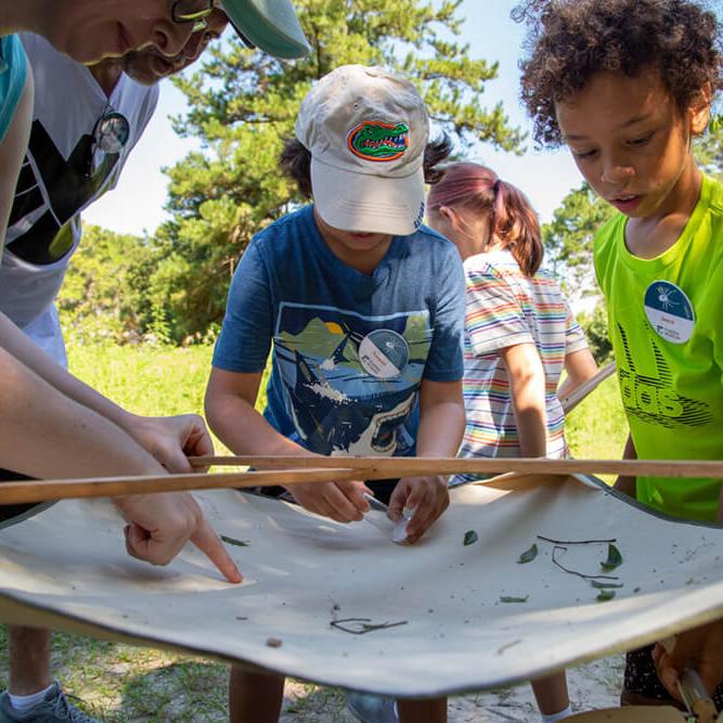 Summer ArtCamp! | Archaeology Camp