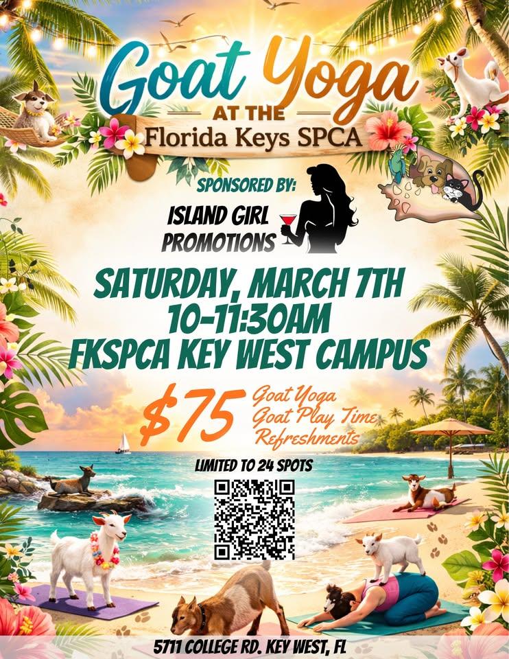 Florida Keys SPCA Baby Goat Yoga
