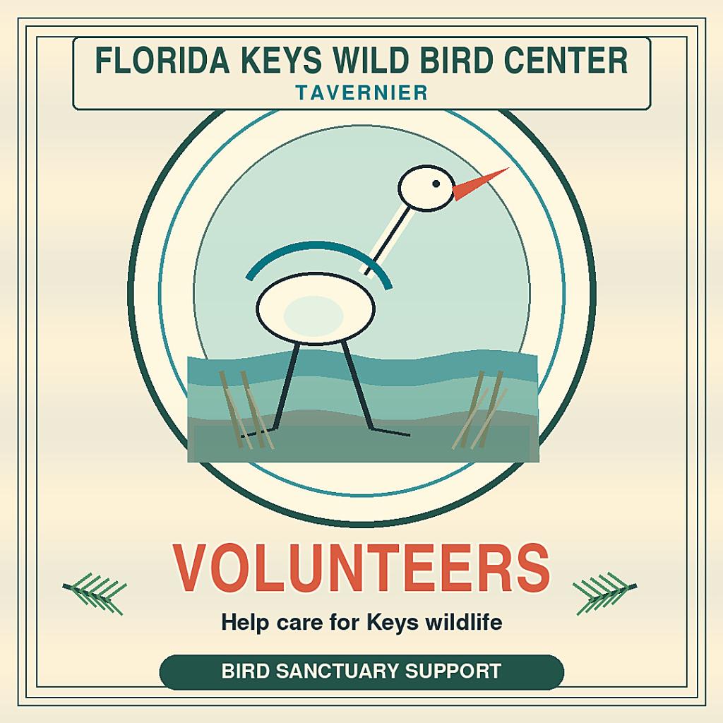 Florida Keys Wild Bird Center Volunteers (Tavernier)