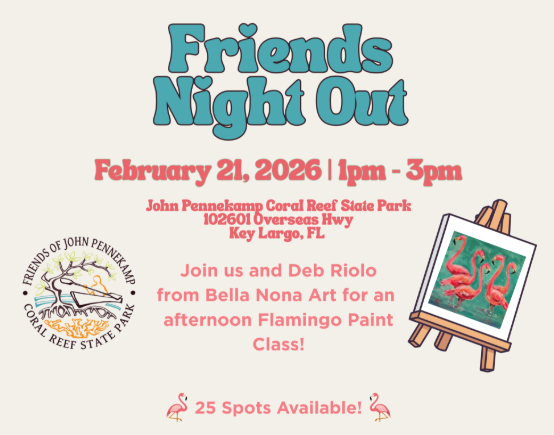 Flamingos in February: Friends Night Out