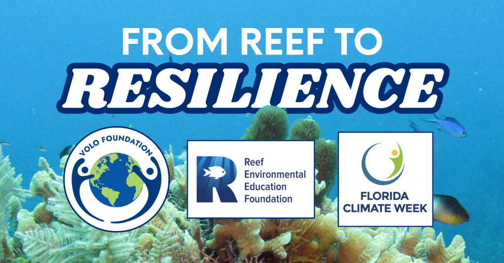From REEF to Resilience