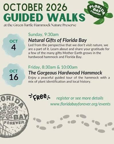 Guided Walks Through a Hardwood Hammock at Green Turtle Hammock