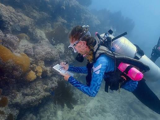 Iconic Reef Guardians Coral Health Experience with Southpoint Divers