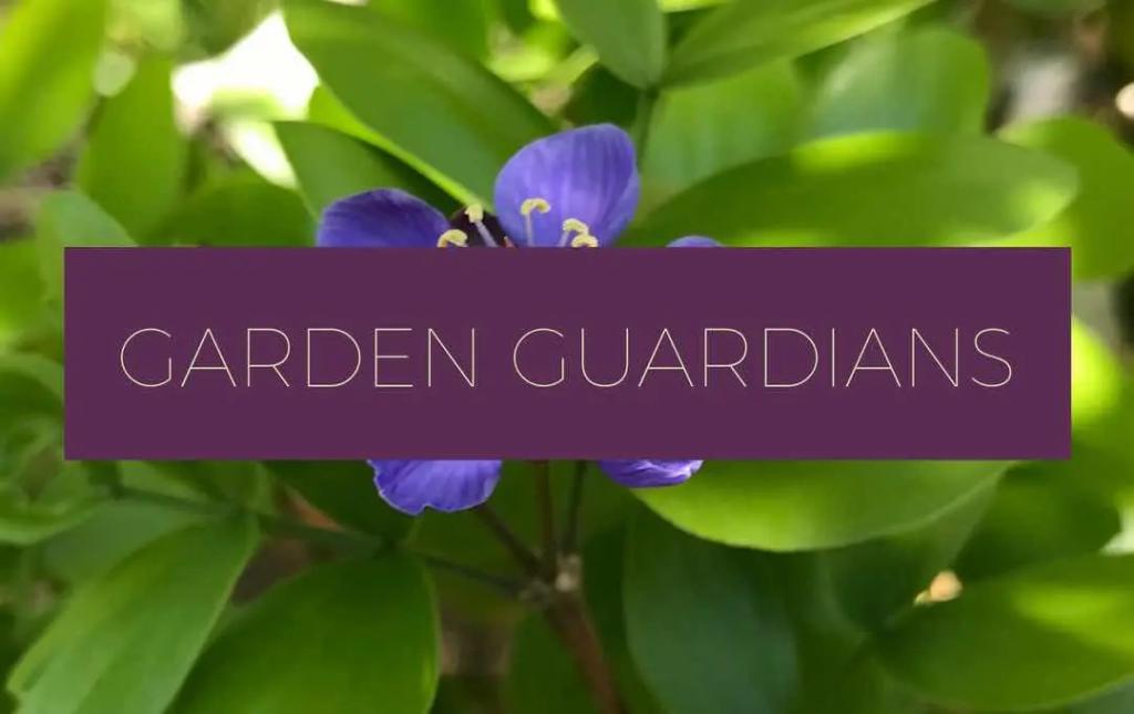 Key West Tropical Forest & Botanical Garden Volunteers (Garden Guardians)