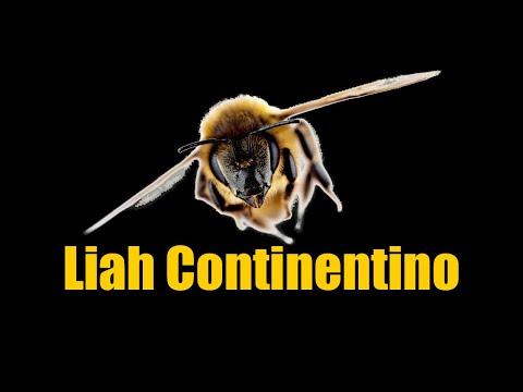 Delicate Balance of Nature Lecture Series: Pollinators with Liah Continentino 