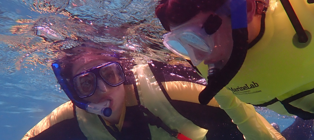 MarineLab Family Day: Snorkel the Reef with a Marine Biologist