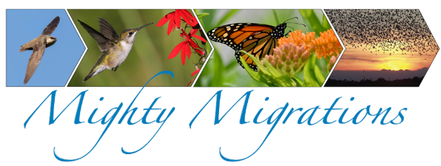 Delicate Balance of Nature Lecture Series: Mighty Migrations with Steffanie Munguía