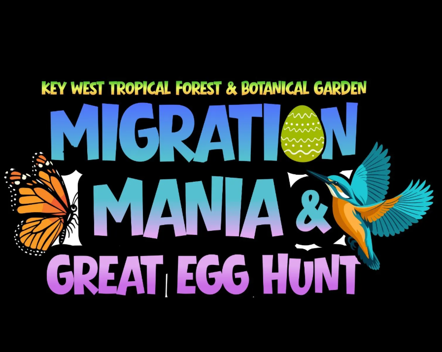 Spring Migration Mania & Great Egg Hunt
