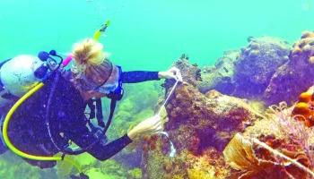 Mote's 4th Annual Reef Revival Fest