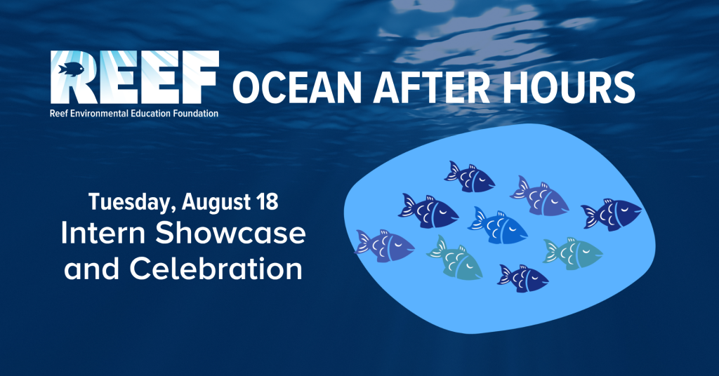 REEF Ocean After Hours: Intern Showcase