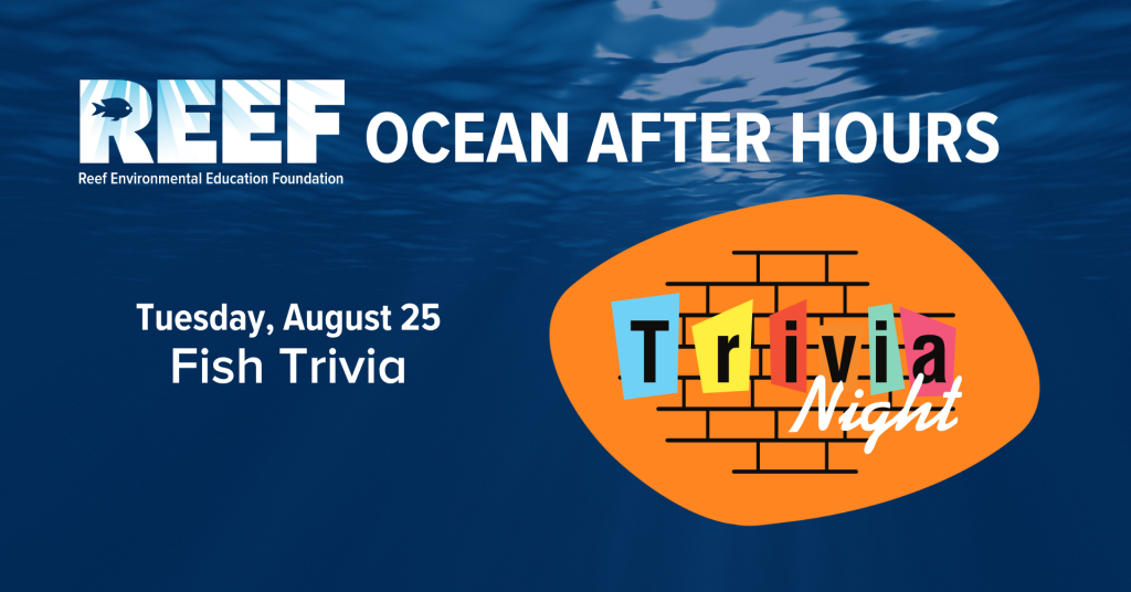 REEF Ocean After Hours: Fish Trivia