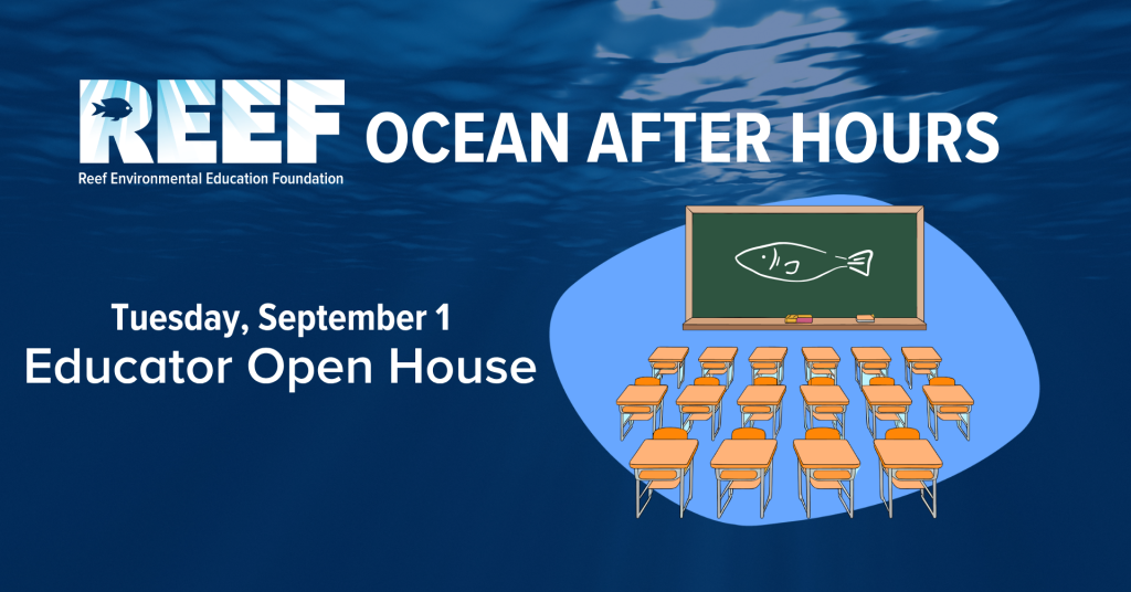 Ocean After Hours- Educator Open House