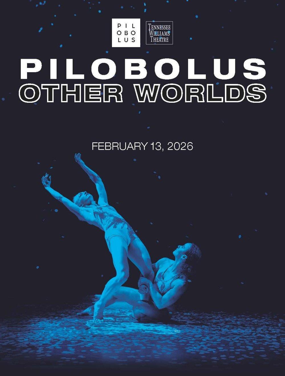 Pilobolus