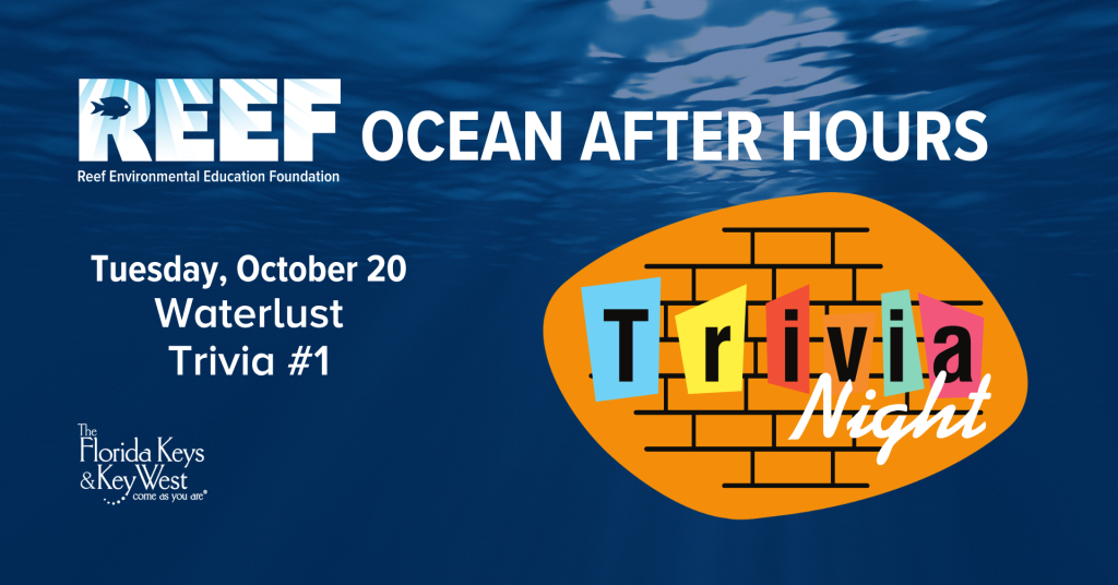 REEF Ocean After Hours - Waterlust Trivia #1