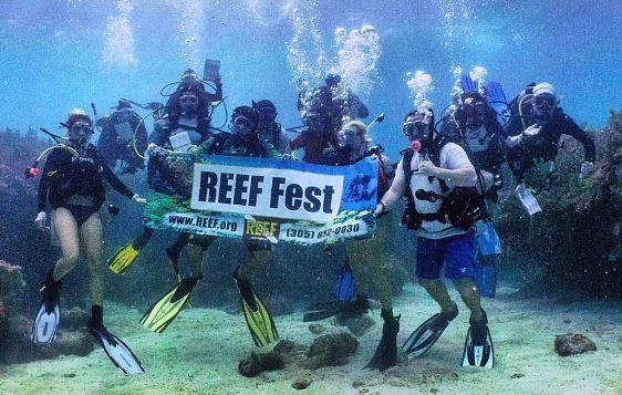 REEF Fest 