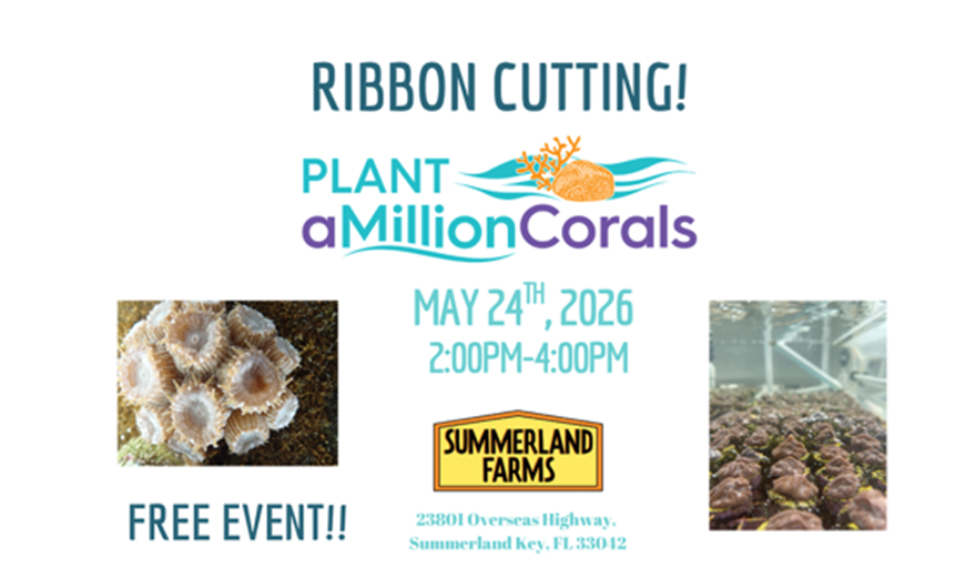 Plant a Million Corals Ribbon Cutting & Community Celebration