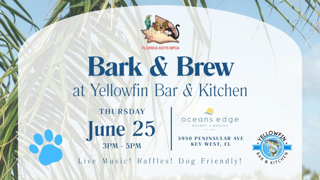 Bark & Brew Benefiting the Florida Keys SPCA