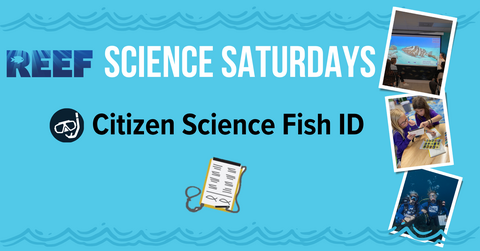 Science Saturdays: Citizen Science Fish ID