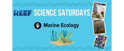 Science Saturdays: Marine Ecology