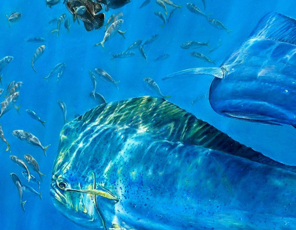 Skippers Dolphin Tournament (2026)