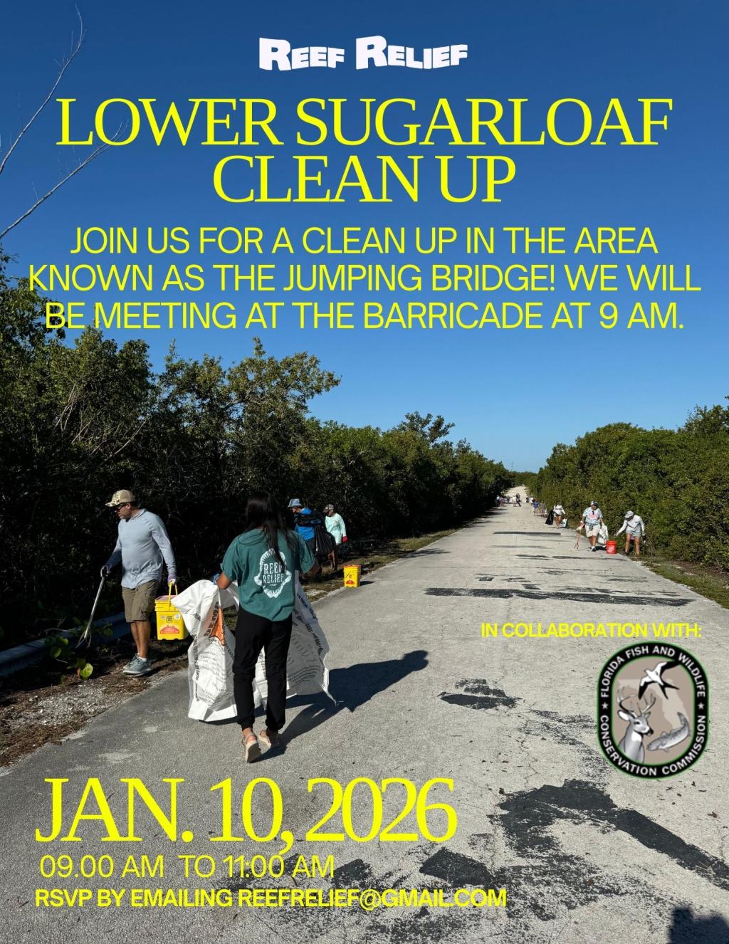 Lower Sugarloaf Cleanup