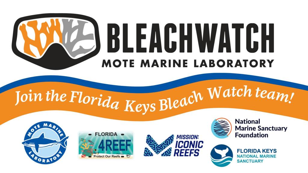 Florida Keys BleachWatch Training