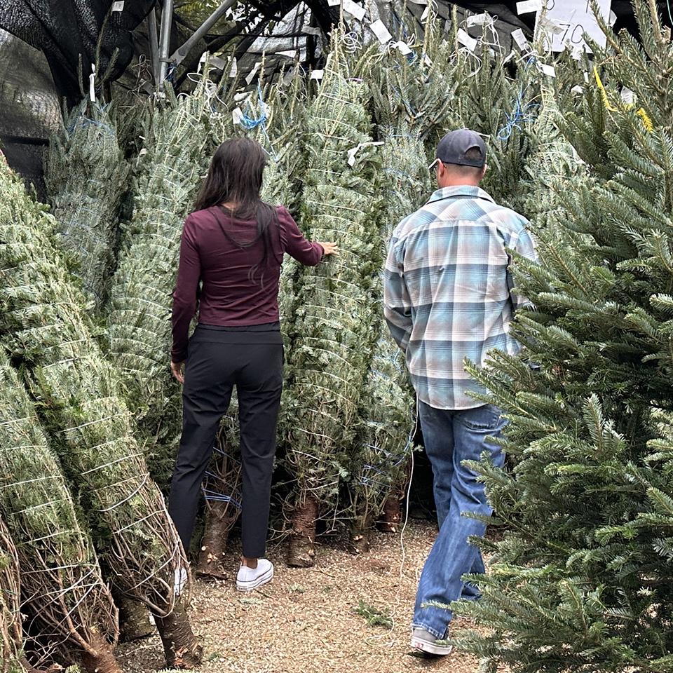 MARC Annual Christmas Tree Lot