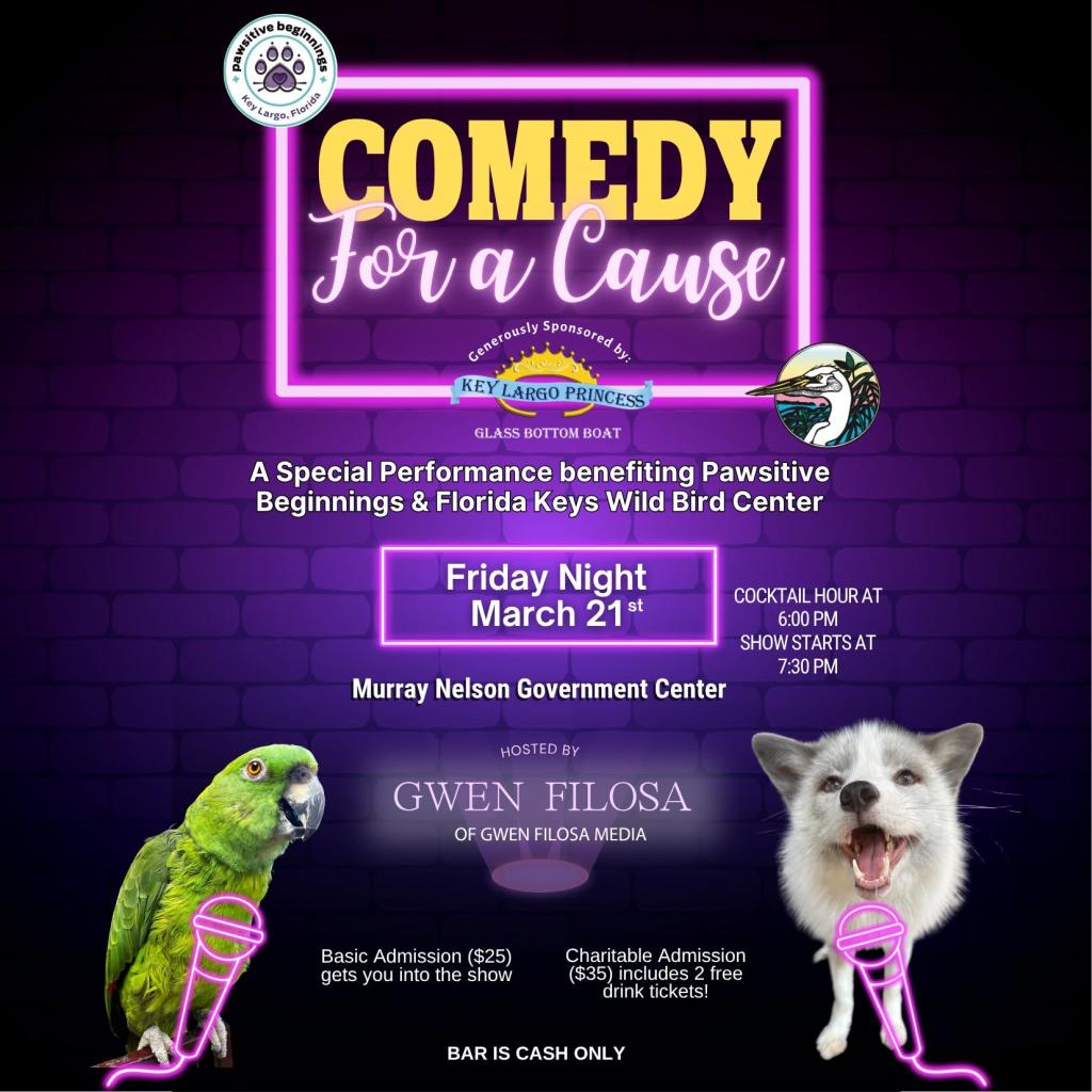 Comedy for a Cause