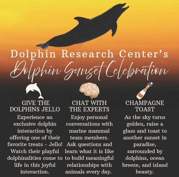 Dolphin Research Center’s Dolphin Sunset Celebration